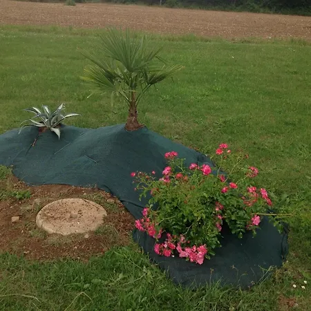 Panzió La Ferme De Manon Bozouls